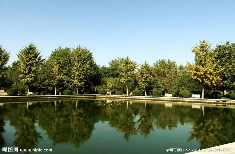 風(fēng)景園林管理亂象：公共花園成垃圾場(chǎng)，誰來整治？