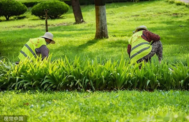 別墅雙層小園林景觀設(shè)計(jì)