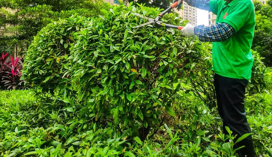 綠化工程報(bào)價(jià)清單制作表格